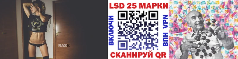 kraken вход  Знаменск  Марки 25I-NBOMe 1500мкг 